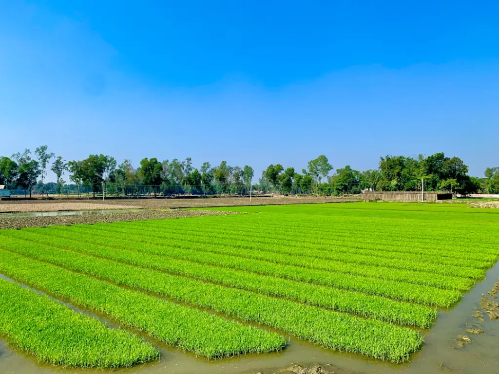 河南中小企业税务筹划实务：贝斯特咨询的合规节税路径解析