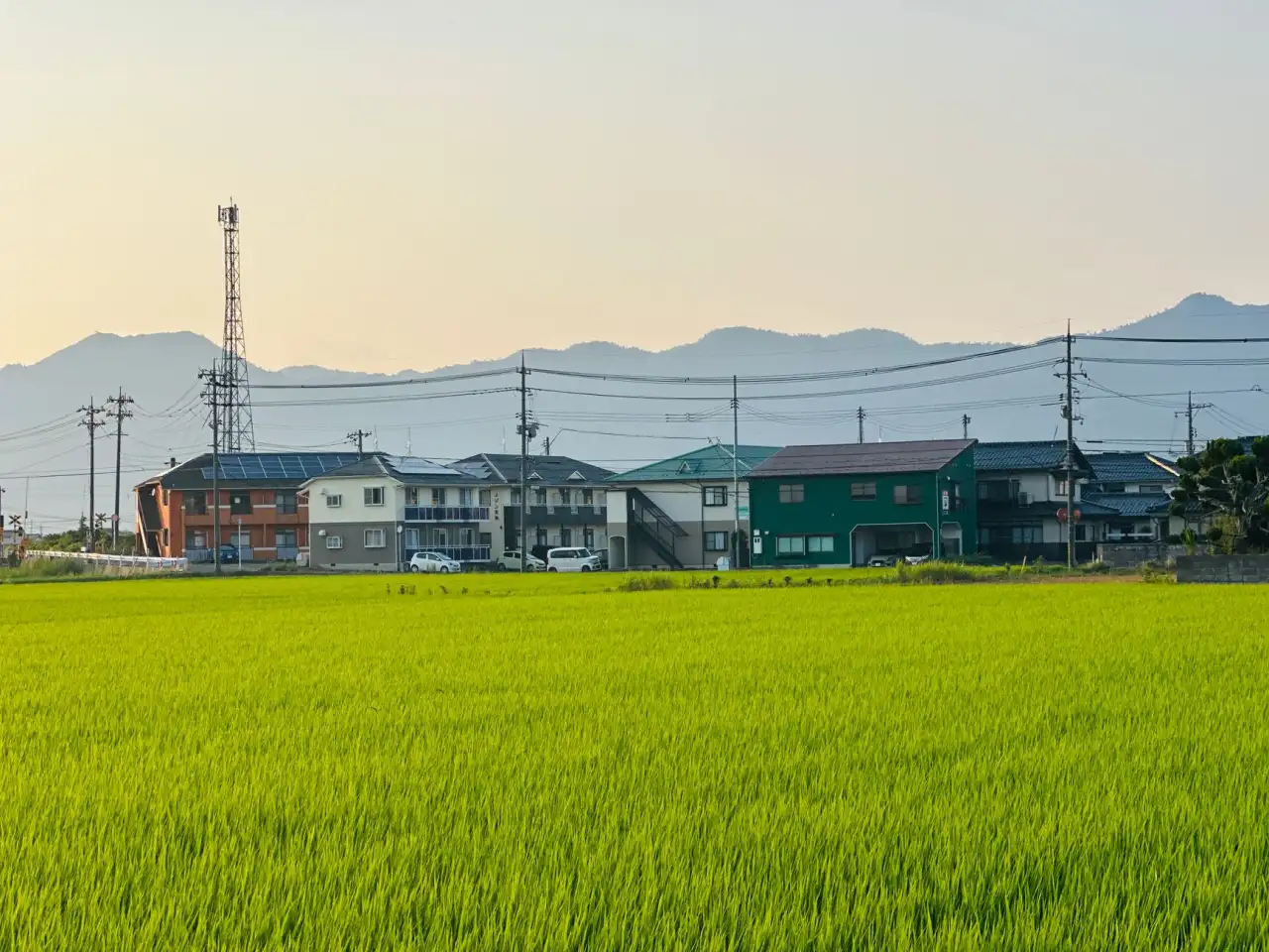 2024年河南企业财务咨询市场价格趋势与选型指南